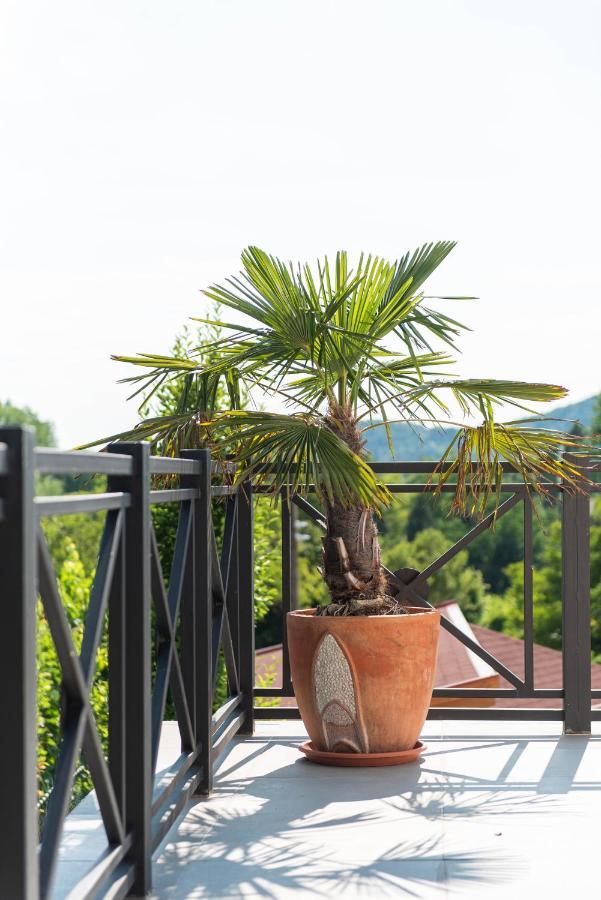 Katzer Villa Badacsonytordemic ภายนอก รูปภาพ
